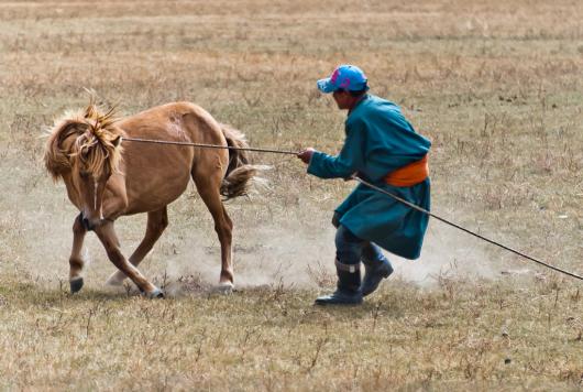 Transsiberien - Mongolie